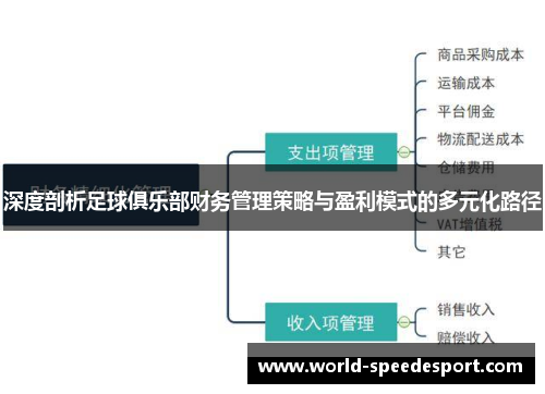 深度剖析足球俱乐部财务管理策略与盈利模式的多元化路径