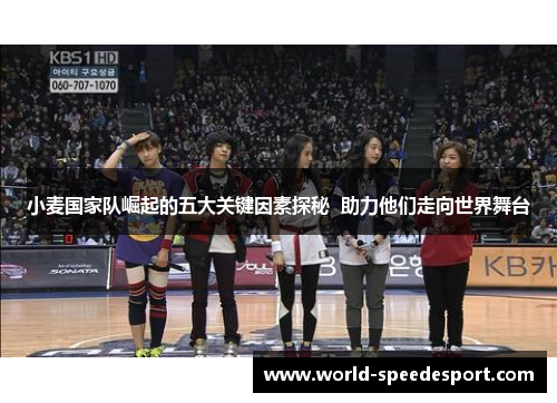 小麦国家队崛起的五大关键因素探秘  助力他们走向世界舞台