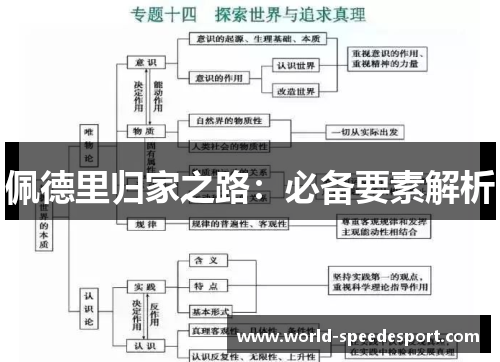 佩德里归家之路：必备要素解析