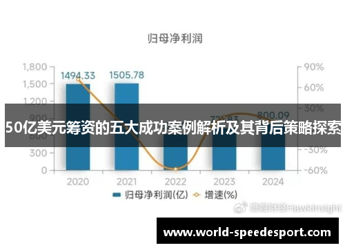 50亿美元筹资的五大成功案例解析及其背后策略探索