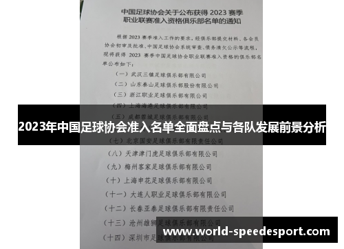 2023年中国足球协会准入名单全面盘点与各队发展前景分析