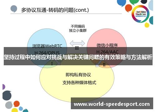 坚持过程中如何应对挑战与解决关键问题的有效策略与方法解析