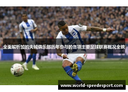 全面解析加的夫城俱乐部历年参与的各项主要足球联赛概况全貌